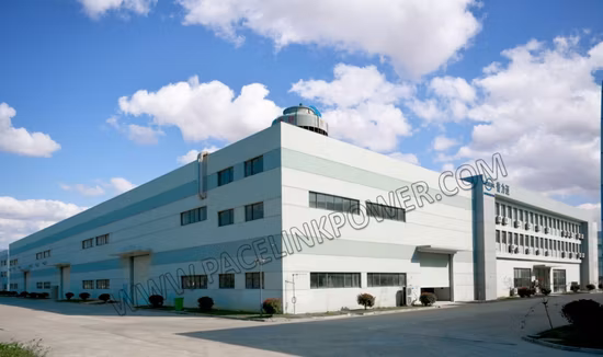 Gruppo elettrogeno diesel silenzioso da 9 kVA~2200 kVA alimentato da Perkins con certificazione Ce/ISO